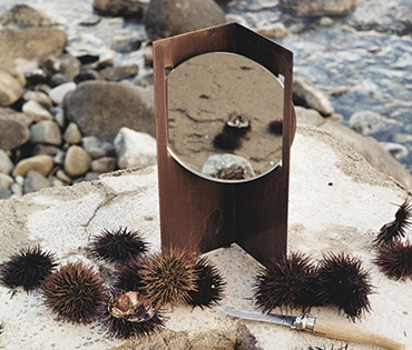 Iron-y Trapped Mirror - copper - vanity mirror - sea urchin. sea and rocks