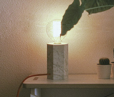 hex lamp with tonburet jr and plants